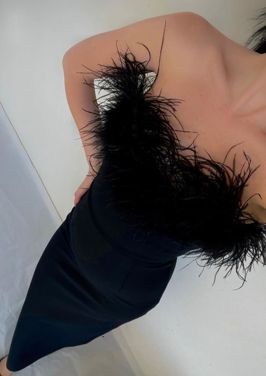 Anastasia | Luxurious Feather Dress