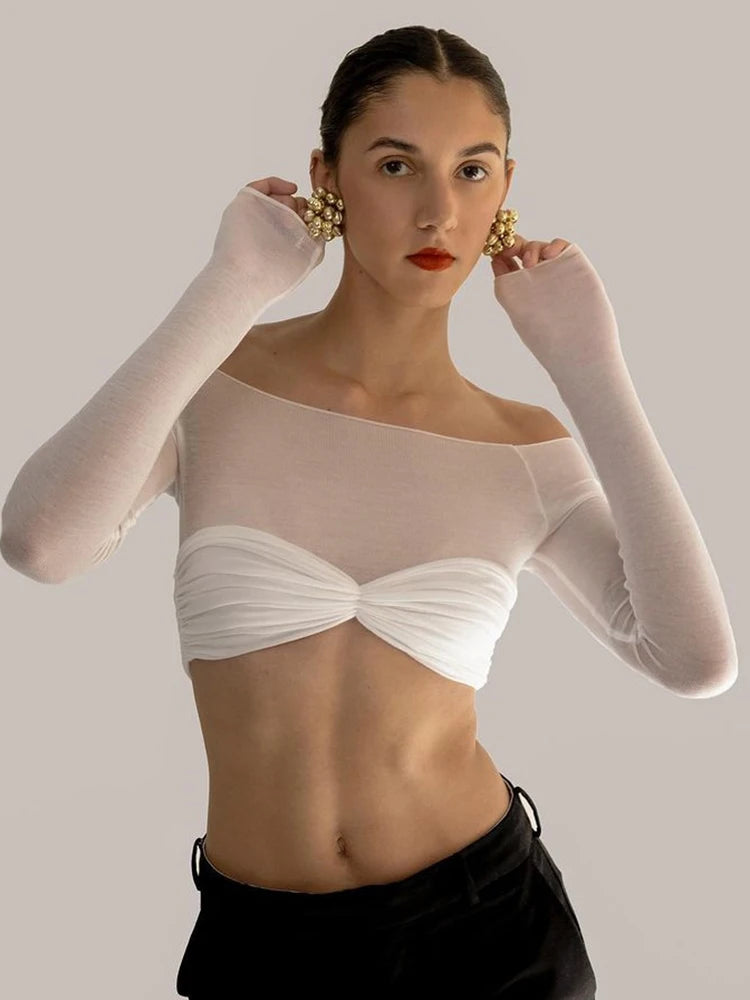 Adrienna - Camel Sheer Mesh Top